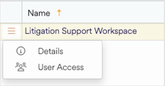 User access options and details for the Litigation Support Workspace interface.